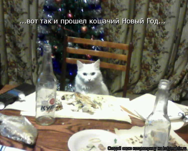...вот так и прошел кошачий Новый Год...... Котоматрица: ...вот так и прошел кошачий Новый Год...