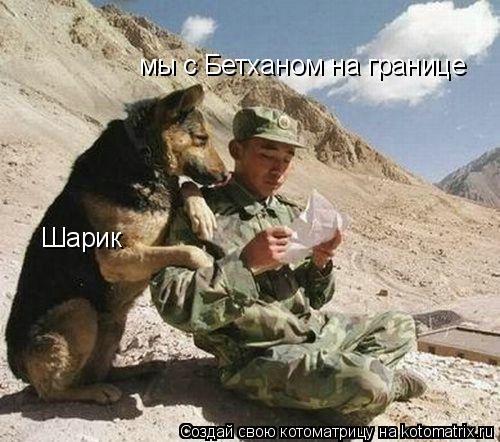 мы с Бетханом на границе Шарик... Котоматрица: мы с Бетханом на границе Шарик