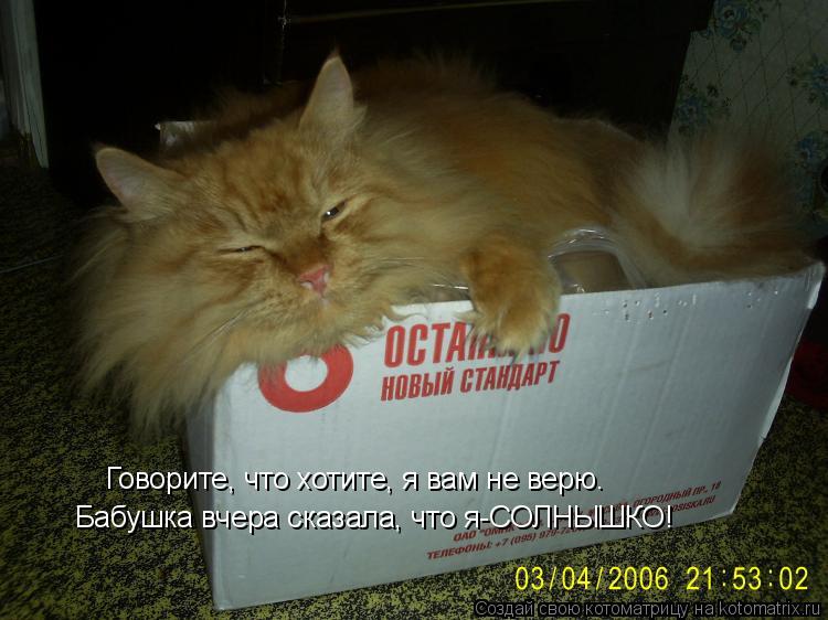 Говорите, что хотите, я вам не верю. Бабушка вчера сказала, что я-СОЛНЫШКО!... Котоматрица: Говорите, что хотите, я вам не верю. Бабушка вчера сказала, что я-СОЛНЫШКО!