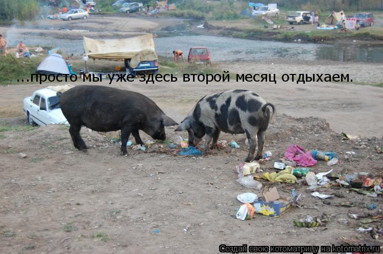 ...просто мы уже здесь второй месяц отдыхаем.... Котоматрица: ...просто мы уже здесь второй месяц отдыхаем.