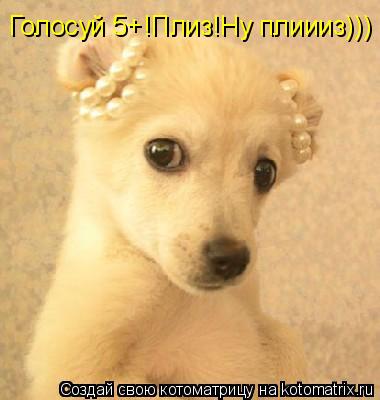 Голосуй 5+!Плиз!Ну плиииз)))... Котоматрица: Голосуй 5+!Плиз!Ну плиииз)))