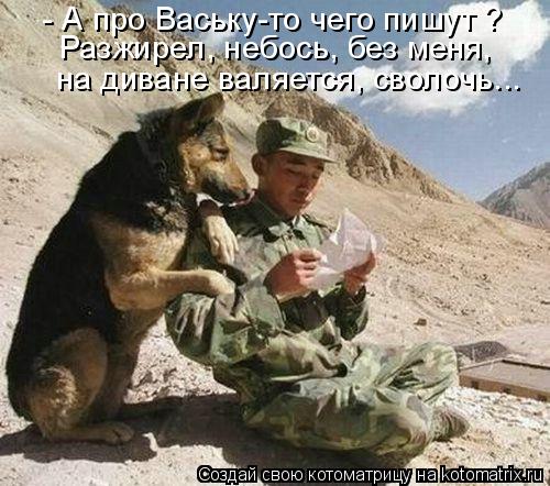 Котоматрица: - А про Ваську-то чего пишут ? на диване валяется, сволочь... Разжирел, небось, без меня,