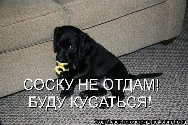 СОСКУ НЕ ОТДАМ! БУДУ КУСАТЬСЯ!... Котоматрица: СОСКУ НЕ ОТДАМ! БУДУ КУСАТЬСЯ!