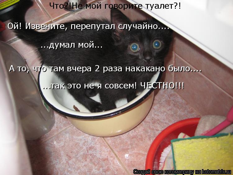 Что?!Не мой говорите туалет?! А то, что там вчера 2 раза накакано было.... ...так это не я совсем! ЧЕ... Котоматрица: Что?!Не мой говорите туалет?! А то, что там вчера 2 раза накакано было.... ...так это не я совсем! ЧЕСТНО!!! Ой! Извените, перепутал случайно.... ...д