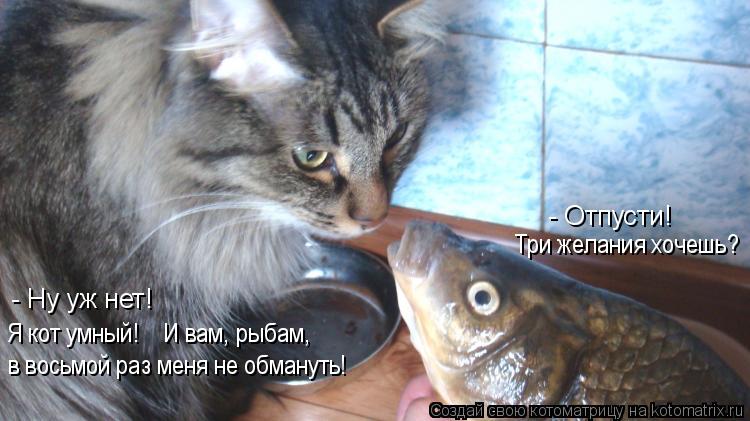 - Отпусти! Три желания хочешь? - Ну уж нет! Я кот умный! И вам, рыбам, в восьмой раз меня не обман... Котоматрица: - Отпусти! Три желания хочешь? - Ну уж нет! Я кот умный! И вам, рыбам, в восьмой раз меня не обмануть!