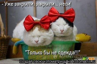 - Уже закрыли, закрыли... неси! "Только бы не одежда!!!"... Котоматрица: - Уже закрыли, закрыли... неси! "Только бы не одежда!!!"