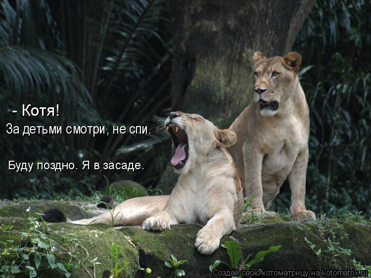 - Котя! За детьми смотри, не спи. Буду поздно. Я в засаде.... Котоматрица: - Котя! За детьми смотри, не спи. Буду поздно. Я в засаде.