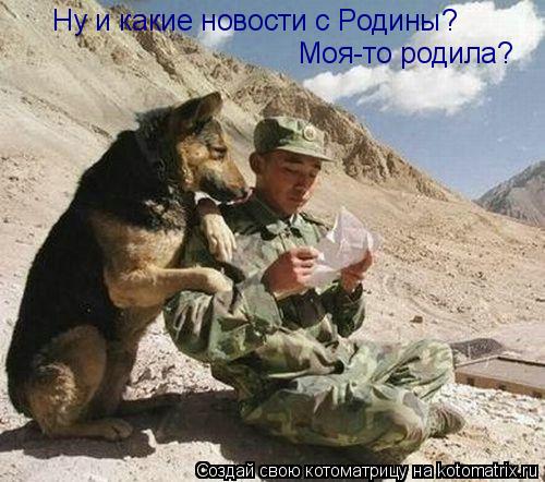 Ну и какие новости с Родины? Моя-то родила?... Котоматрица: Ну и какие новости с Родины? Моя-то родила?