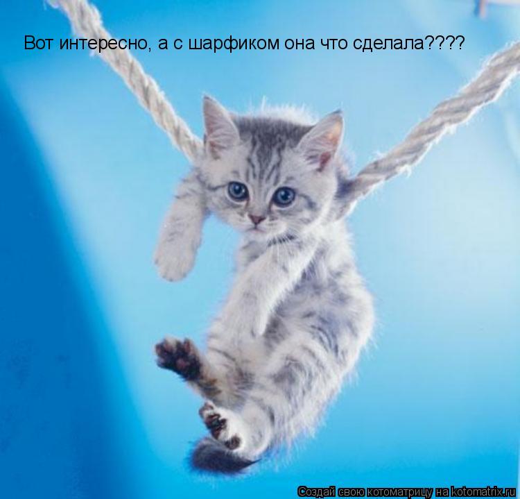 Вот интересно, а с шарфиком она что сделала????... Котоматрица: Вот интересно, а с шарфиком она что сделала????