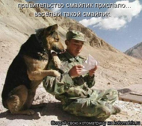 правительство смайлик прислало... весёлый такой смайлик.... Котоматрица: правительство смайлик прислало... весёлый такой смайлик.