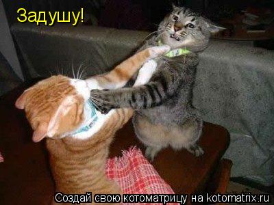 Задушу!... Котоматрица: Задушу!