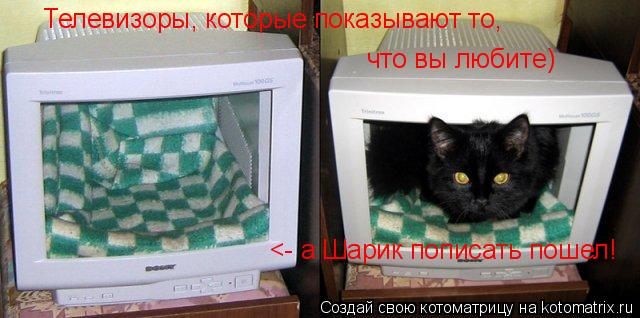 Котоматрица: Телевизоры, которые показывают то, что вы любите)  <- а Шарик пописать пошел!