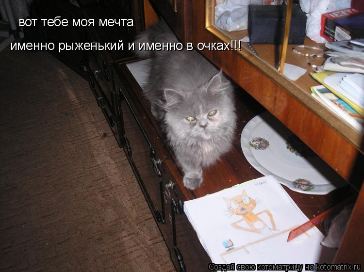 Котоматрица: вот тебе моя мечта вот тебе моя мечта именно рыженький и именно в очках!!! именно рыженький и именно в очках!!!