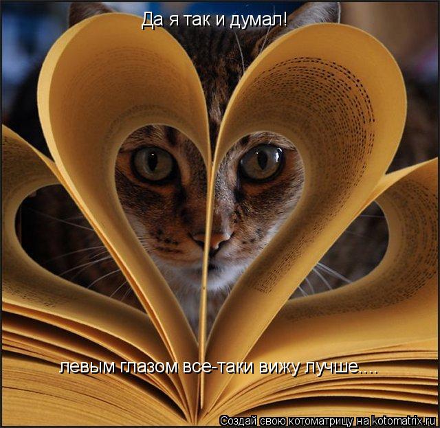 Котоматрица: Да я так и думал! Да я так и думал! левым глазом все-таки вижу лучше.... левым глазом все-таки вижу лучше....
