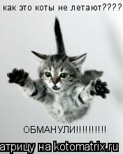 Котоматрица: как это коты не летают???? как это коты не летают???? ОБМАНУЛИ!!!!!!!!!! ОБМАНУЛИ!!!!!!!!!!