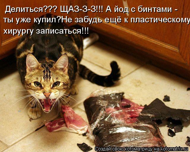 Котоматрица: Делиться??? ЩАЗ-З-З!!! А йод с бинтами - ты уже купил?Не забудь ещё к пластическому хирургу записаться!!!