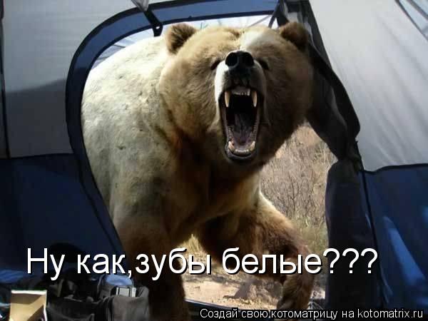 Котоматрица: Ну как,зубы белые???