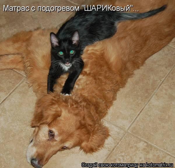 Матрас с подогревом "ШАРИКовый"...... Котоматрица: Матрас с подогревом "ШАРИКовый"...