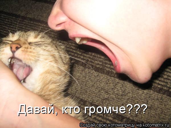 Давай, кто громче???... Котоматрица: Давай, кто громче???