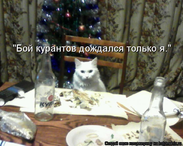 "Бой курантов дождался только я."... Котоматрица: "Бой курантов дождался только я."