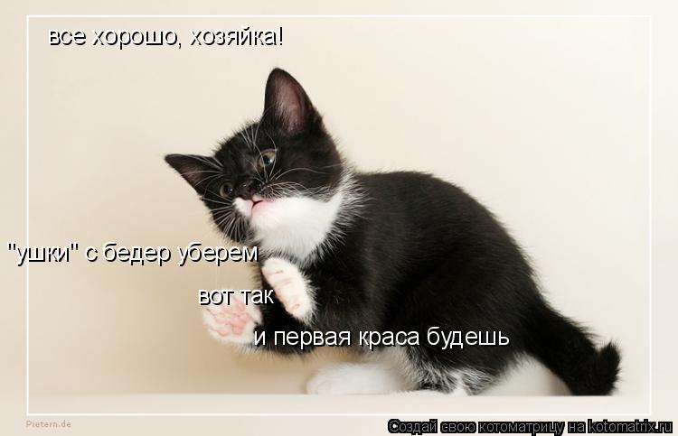 все хорошо, хозяйка! "ушки" с бедер уберем вот так и первая краса будешь... Котоматрица: все хорошо, хозяйка! "ушки" с бедер уберем вот так и первая краса будешь