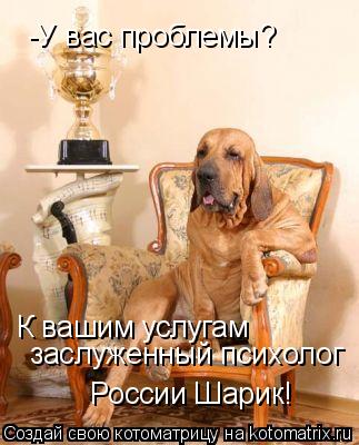 -У вас проблемы? К вашим услугам заслуженный психолог России Шарик!... Котоматрица: -У вас проблемы? К вашим услугам заслуженный психолог России Шарик!