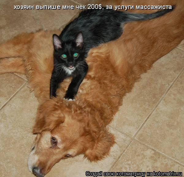 хозяин выпише мне чек 200$, за услуги массажиста... Котоматрица: хозяин выпише мне чек 200$, за услуги массажиста