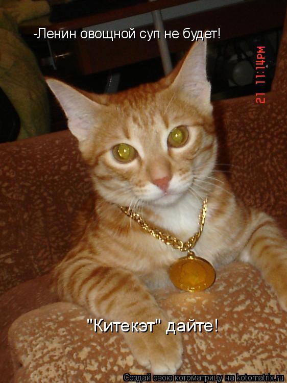 Котоматрица: -Ленин овощной суп не будет! "Китекэт" дайте!