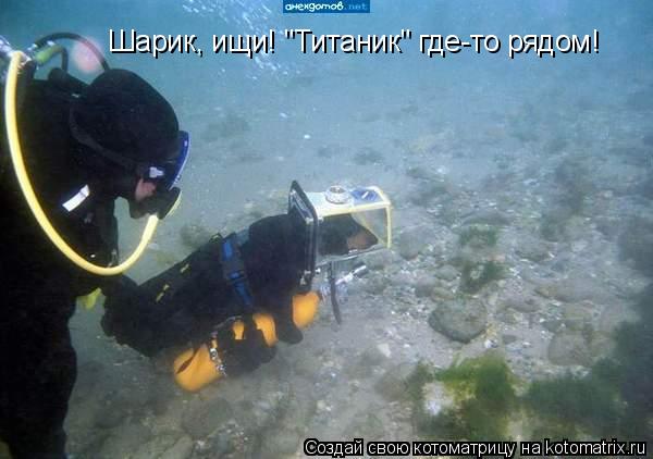 Котоматрица: Шарик, ищи! "Титаник" где-то рядом!