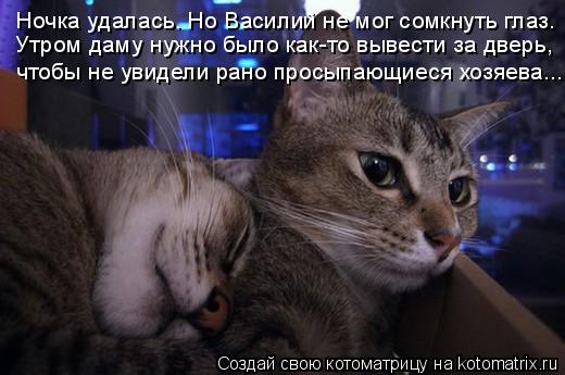 Ночка удалась. Но Василий не мог сомкнуть глаз. Утром даму нужно было как-то вывести за дверь, чтобы ... Котоматрица: Ночка удалась. Но Василий не мог сомкнуть глаз. Утром даму нужно было как-то вывести за дверь, чтобы не увидели рано просыпающиеся хозяева...