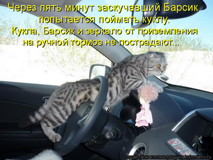 Котоматрица: Через пять минут заскучавший Барсик попытается поймать куклу. Кукла, Барсик и зеркало от приземления на ручной тормоз не пострадают...