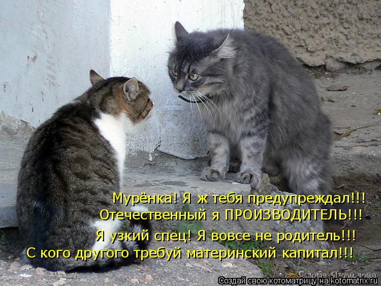 Мурёнка! Я ж тебя предупреждал!!! Я узкий спец! Я вовсе не родитель!!! Отечественный я ПРОИЗВОДИТЕЛЬ!... Котоматрица: Мурёнка! Я ж тебя предупреждал!!! Я узкий спец! Я вовсе не родитель!!! Отечественный я ПРОИЗВОДИТЕЛЬ!!! С кого другого требуй материнский капит