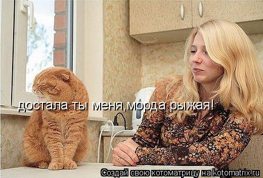 достала ты меня,морда рыжая!... Котоматрица: достала ты меня,морда рыжая!