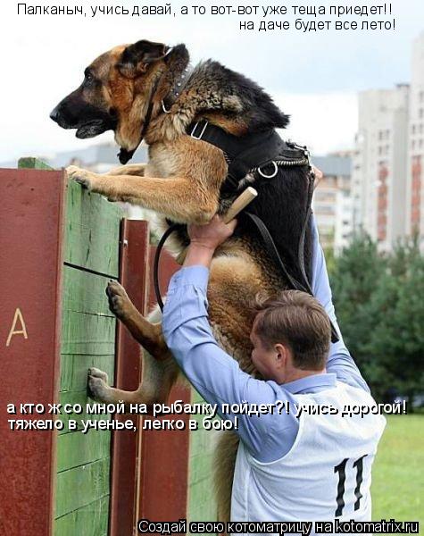 Палканыч, учись давай, а то вот-вот уже теща приедет!! на даче будет все лето! а кто ж со мной на ры... Котоматрица: Палканыч, учись давай, а то вот-вот уже теща приедет!! на даче будет все лето! а кто ж со мной на рыбалку пойдет?! учись дорогой! тяжело в учень