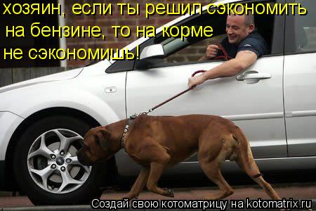 хозяин, если ты решил сэкономить на бензине, то на корме не сэкономишь!... Котоматрица: хозяин, если ты решил сэкономить на бензине, то на корме не сэкономишь!