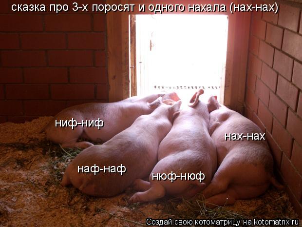 ниф-ниф наф-наф нюф-нюф нах-нах сказка про 3-х поросят и одного нахала (нах-нах)... Котоматрица: ниф-ниф наф-наф нюф-нюф нах-нах сказка про 3-х поросят и одного нахала (нах-нах)