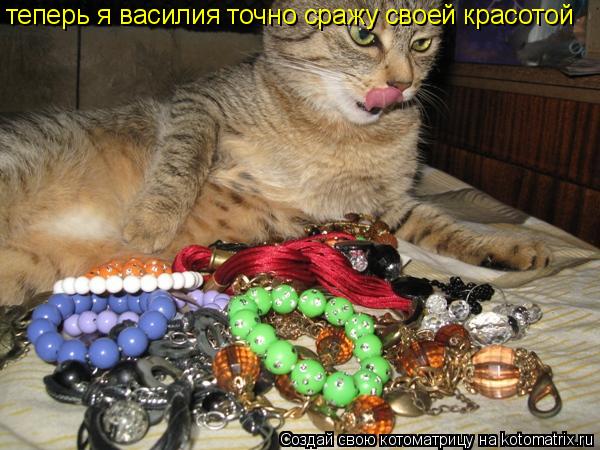 теперь я василия точно сражу своей красотой... Котоматрица: теперь я василия точно сражу своей красотой