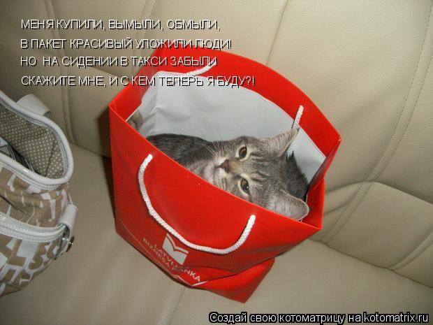 МЕНЯ КУПИЛИ, ВЫМЫЛИ, ОБМЫЛИ, В ПАКЕТ КРАСИВЫЙ УЛОЖИЛИ ЛЮДИ! НО НА СИДЕНИИ В ТАКСИ ЗАБЫЛИ СКАЖИТЕ МНЕ... Котоматрица: МЕНЯ КУПИЛИ, ВЫМЫЛИ, ОБМЫЛИ, В ПАКЕТ КРАСИВЫЙ УЛОЖИЛИ ЛЮДИ! НО НА СИДЕНИИ В ТАКСИ ЗАБЫЛИ СКАЖИТЕ МНЕ, И С КЕМ ТЕПЕРЬ Я БУДУ?!