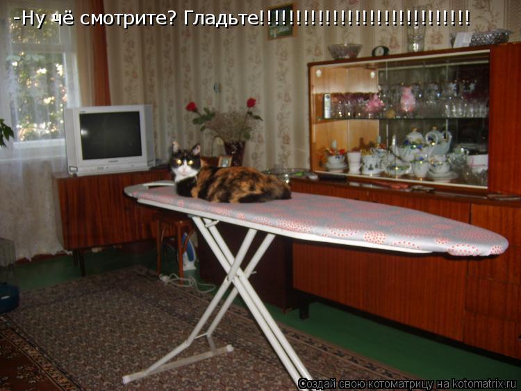 -Ну чё смотрите? Гладьте!!!!!!!!!!!!!!!!!!!!!!!!!!!!!... Котоматрица: -Ну чё смотрите? Гладьте!!!!!!!!!!!!!!!!!!!!!!!!!!!!!