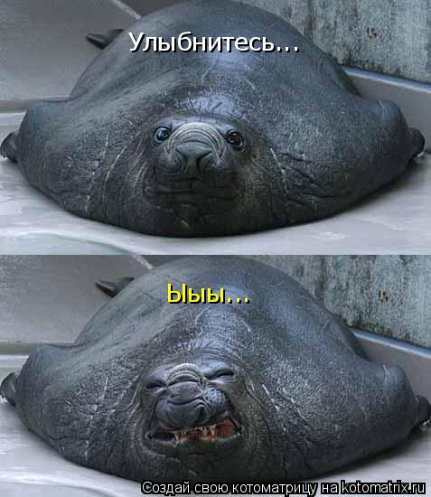 Улыбнитесь... Ыыы...... Котоматрица: Улыбнитесь... Ыыы...