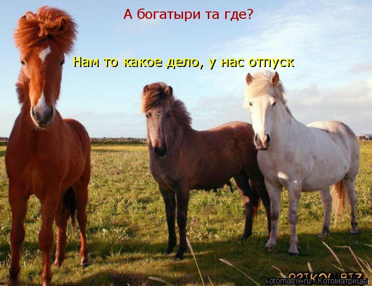 А богатыри та где? Нам то какое дело, у нас отпуск... Котоматрица: А богатыри та где? Нам то какое дело, у нас отпуск