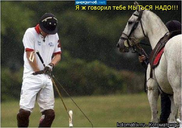 Я ж говорил тебе МЫТЬСЯ НАДО!!!... Котоматрица: Я ж говорил тебе МЫТЬСЯ НАДО!!!