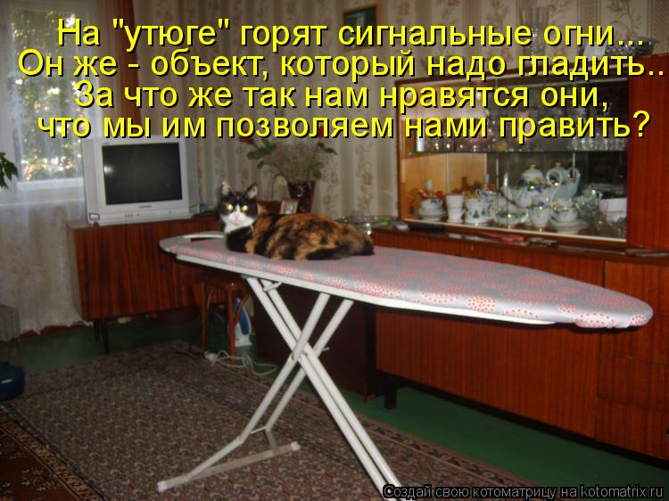 На "утюге" горят сигнальные огни... Он же - объект, который надо гладить... За что же так нам нравятс... Котоматрица: На "утюге" горят сигнальные огни... Он же - объект, который надо гладить... За что же так нам нравятся они, что мы им позволяем нами править?