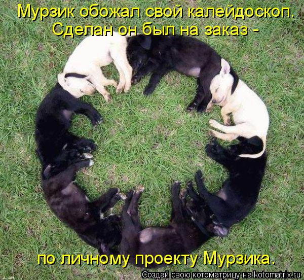 Котоматрица: Мурзик обожал свой калейдоскоп.  Сделан он был на заказ -  по личному проекту Мурзика.