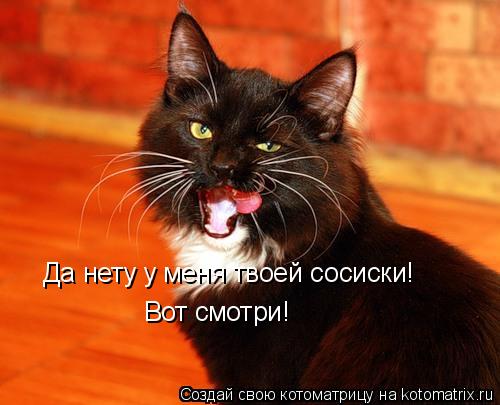 Да нету у меня твоей сосиски! Вот смотри!... Котоматрица: Да нету у меня твоей сосиски! Вот смотри!