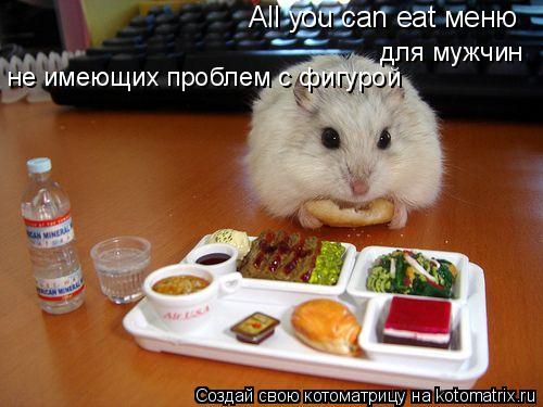 All you can eat меню для мужчин не имеющих проблем с фигурой... Котоматрица: All you can eat меню для мужчин не имеющих проблем с фигурой