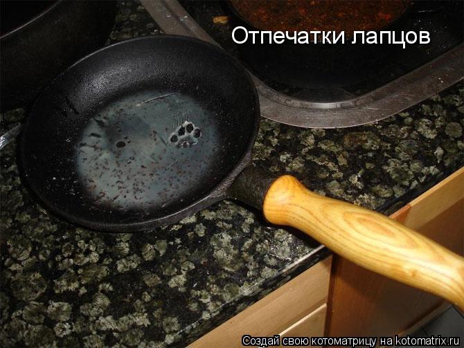 Отпечатки лапцов... Котоматрица: Отпечатки лапцов