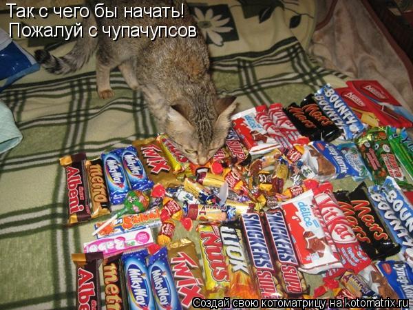 Так с чего бы начать! Пожалуй с чупачупсов... Котоматрица: Так с чего бы начать! Пожалуй с чупачупсов