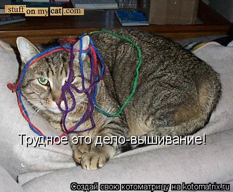 Трудное это дело-вышивание!... Котоматрица: Трудное это дело-вышивание!