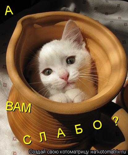 А ВАМ С Л А Б О ?... Котоматрица: А ВАМ С Л А Б О ?